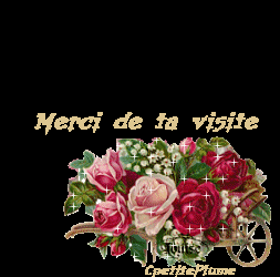 merci